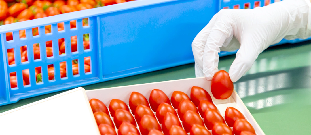 ひとつずつ選定する様子