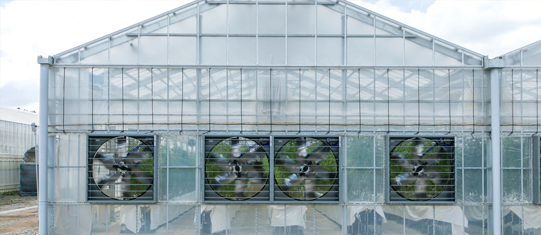 外から見た大型ファン