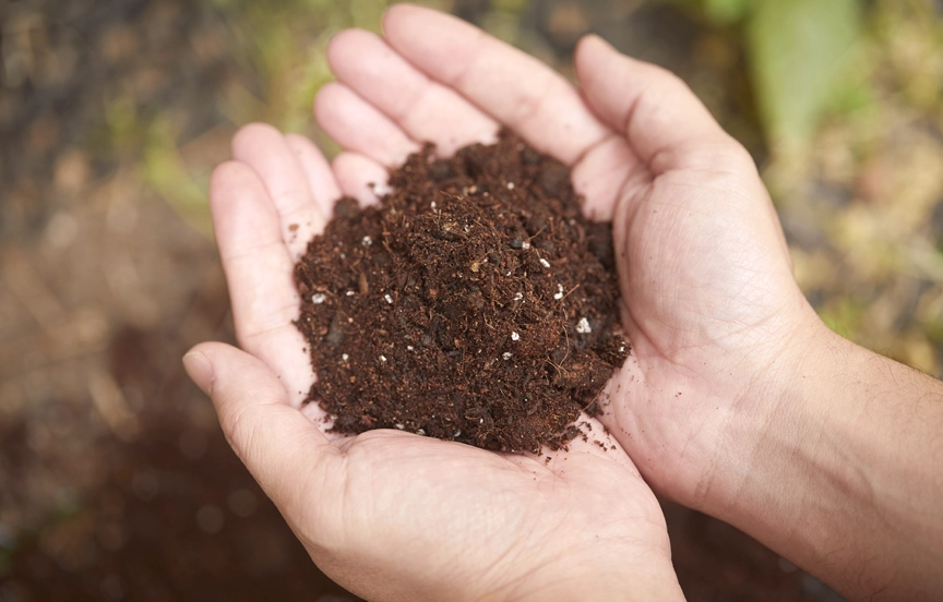 オスミック・ソイル