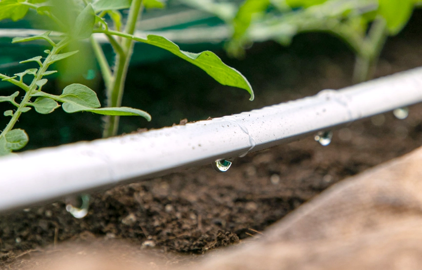 しっかりと水を供給