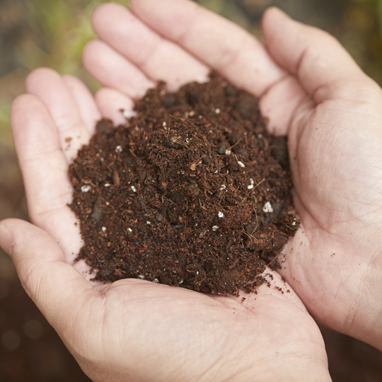 オスミック・ソイル