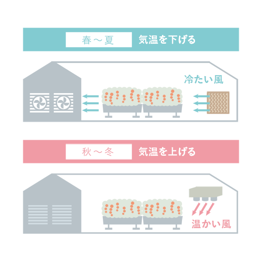 パット＆ファンイラスト